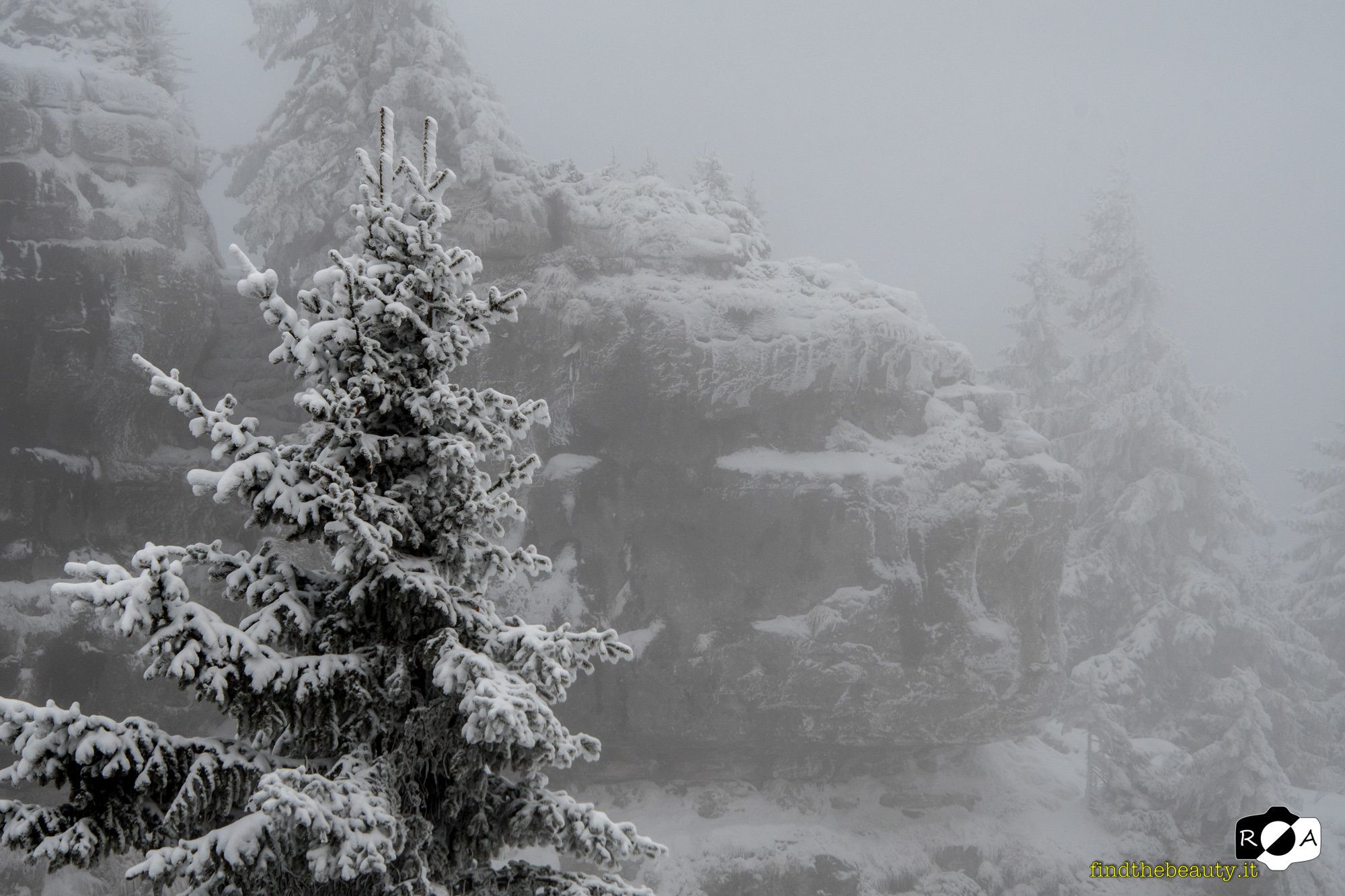 neve